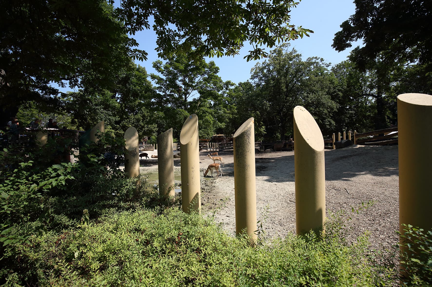 Tiergarten PANZERNASHORN