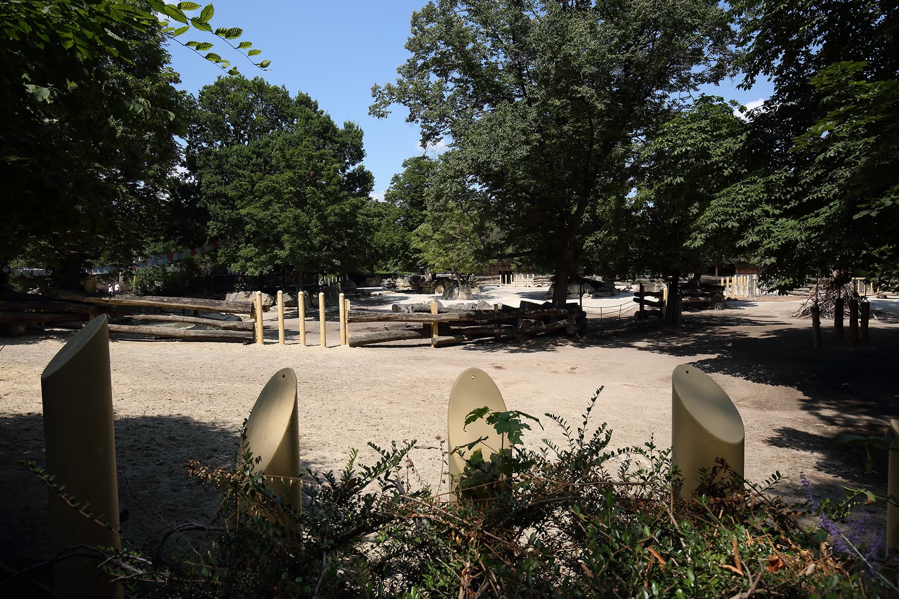 Tiergarten PANZERNASHORN