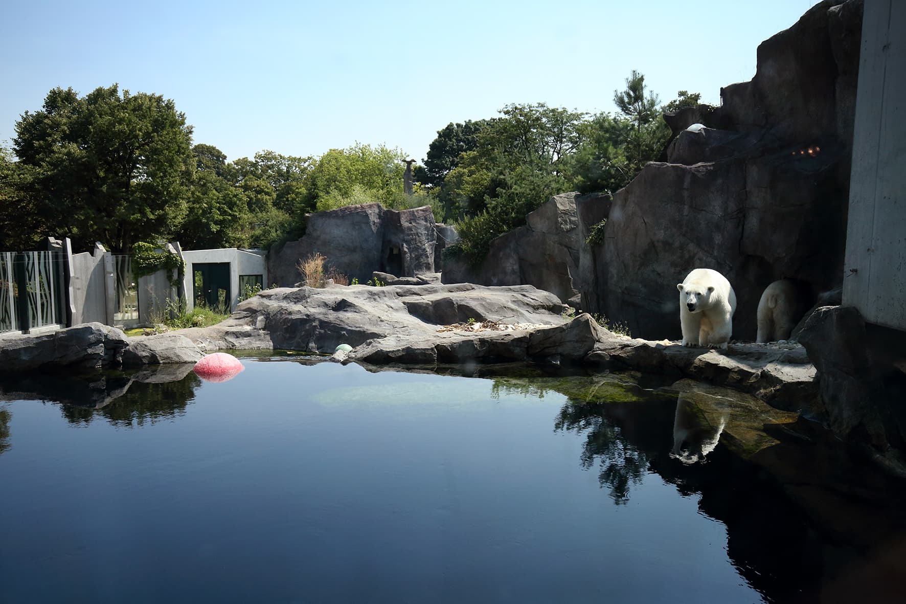 Tiergarten EISBÄR
